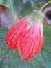 DSCN2056