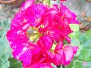 DSCN2062