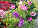 DSCN2063