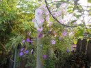 DSCN2067