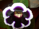 DSCN2070
