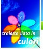 familyresidencia_foto_imagini_traieste_viata_in_culori