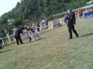 filipesti rosu 1