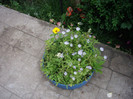 IMGP0031
