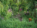 IMGP0035