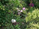 IMGP0040