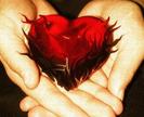 y love you