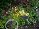 IMGP0045