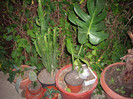 IMGP0049