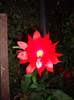 IMGP0055