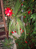 IMGP0057