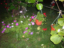 IMGP0059