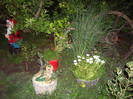 IMGP0074