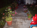 IMGP0087