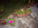 IMGP0089