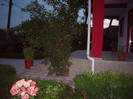 IMGP0090
