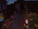 IMGP0099