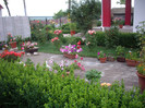 IMGP0115