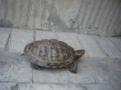 IMGP0128
