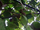 IMGP0139
