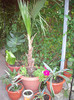 IMGP0169