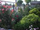 IMGP0191