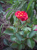 IMGP0216