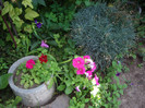 IMGP0253