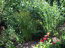 IMGP0282