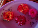 IMGP0292