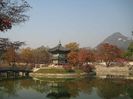 palat coreean11