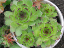 DSCN1543