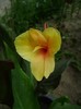infernoDSC03341