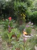 xxDSC03686