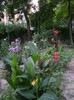 xxDSC03696