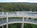 grija fata de biciclisti