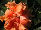 Picture 037