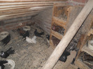 DSCN2762