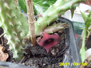 Picture 017