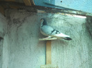 DSCN2979