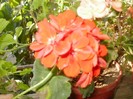 P9300051