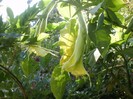 P9300066