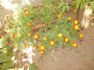 P9300069