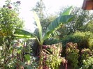 P9300072