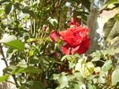P9300085
