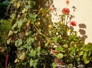 P9300087
