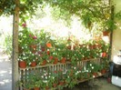 P9300090