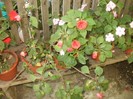 P9300093