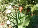 P9300096