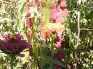P9300101